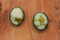 Genuine Sonoran Gold Turquoise Sterling Silver Post Earrings